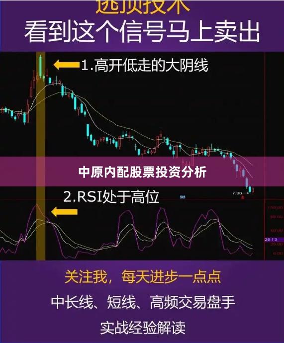 中原内配股票投资分析