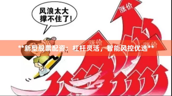**新型股票配资:杠杆灵活,智能风控优选**