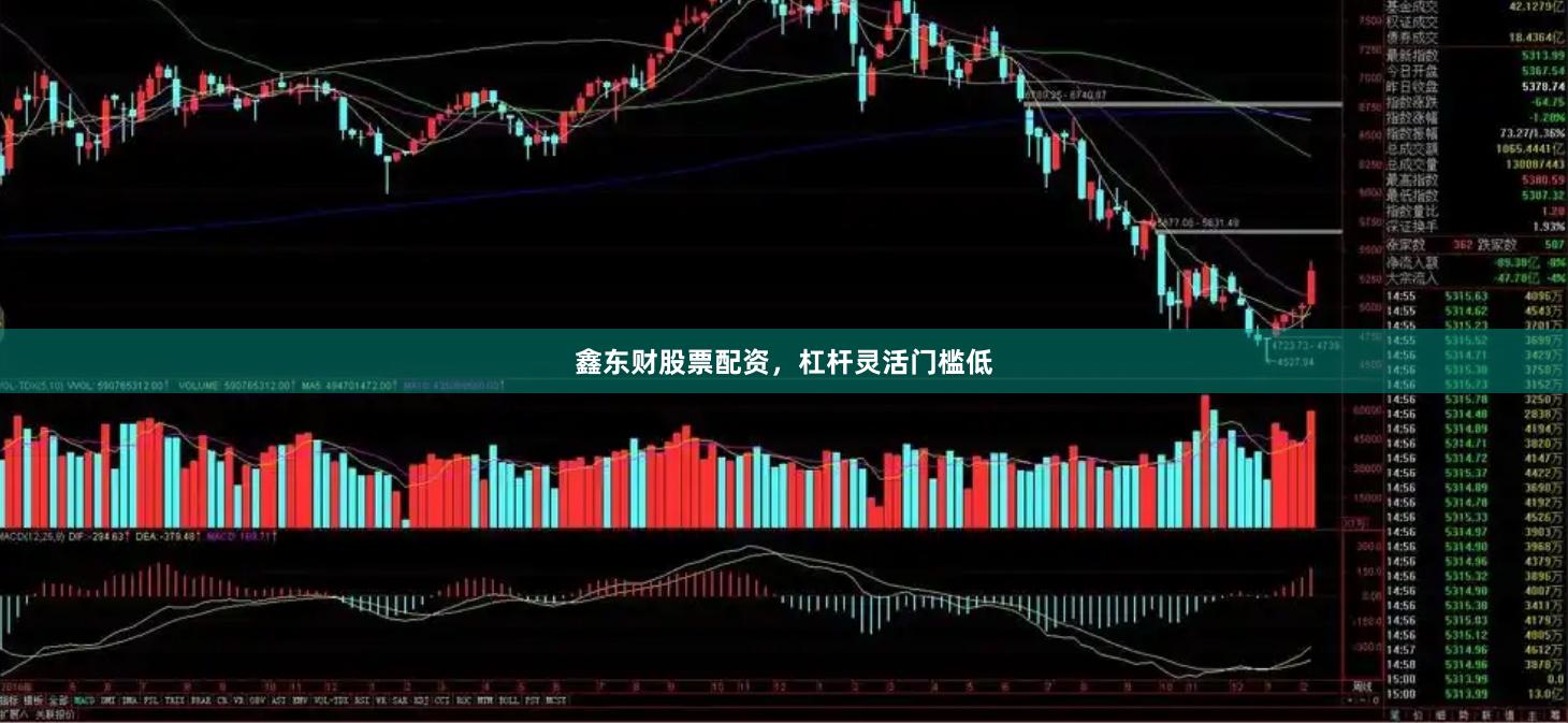 鑫东财股票配资，杠杆灵活门槛低